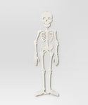 59" Jointed Skeleton White