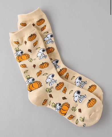 American Eagle Snoopy Pumpkin Fall Socks